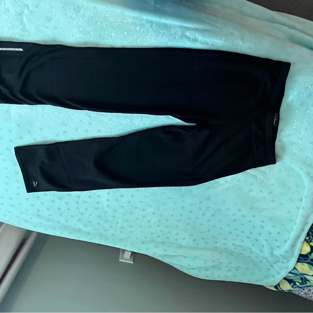 L.L. Bean Black Polartec pants, fleece lined, size M.